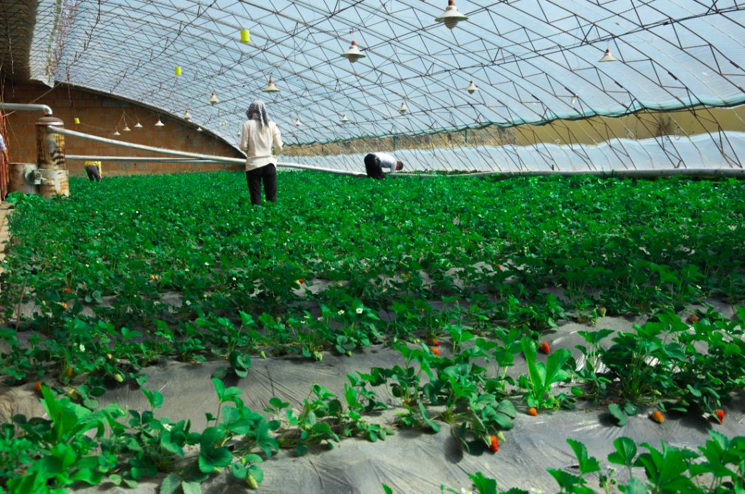 强化支农支小货币政策，活用再贷再贴与准备金率工具