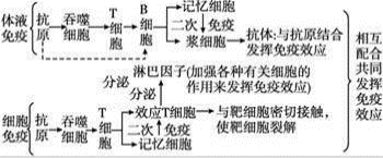美疾控中心警示：感染人类禽流感病毒基因突变，引发关注